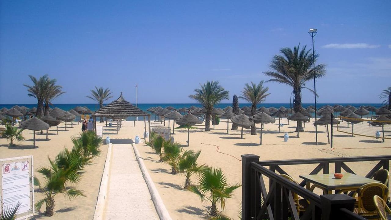 Neue Palmen auf dem Weg zum Strand Hotel Paradis Palace