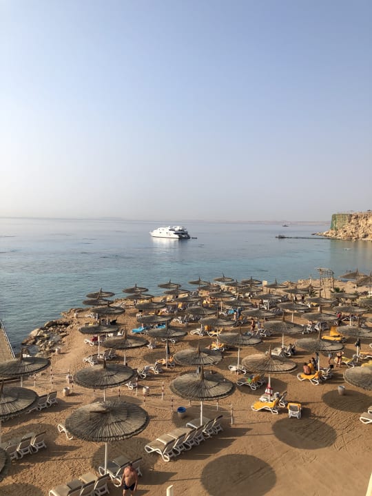 Ausblick Reef Oasis Beach Resort