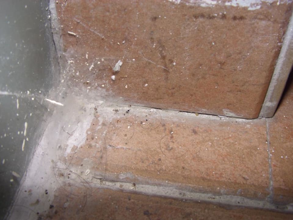 Zimmer  Greenwood Kemer Resort