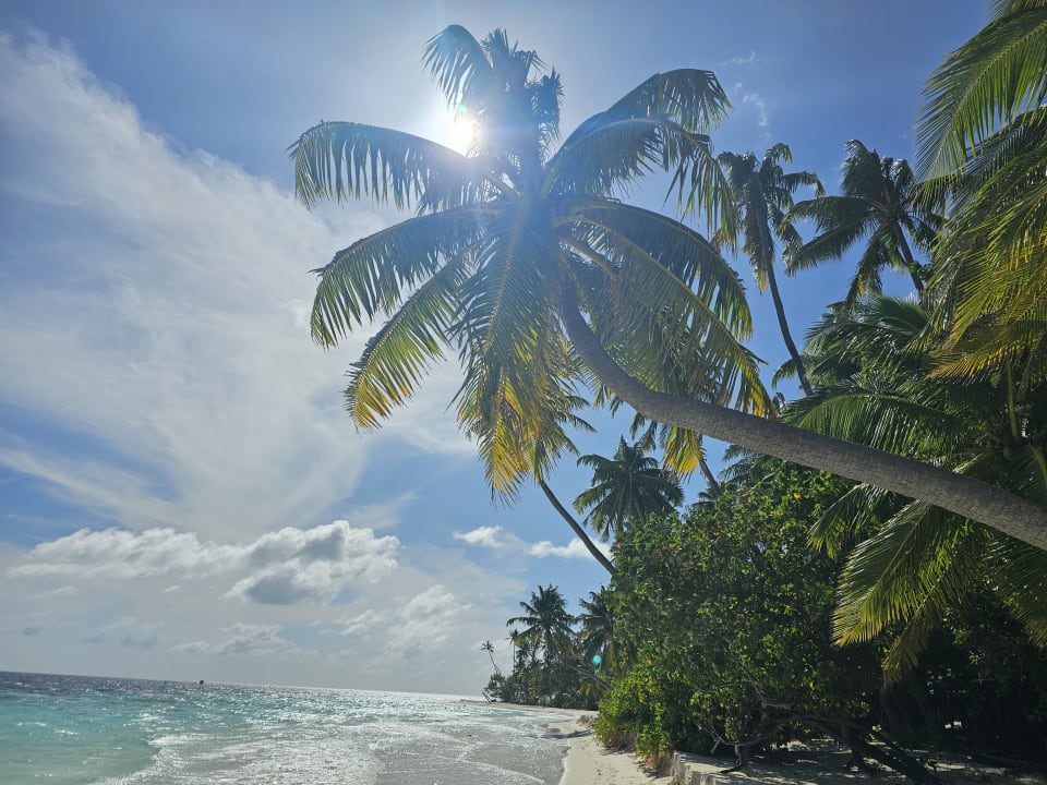 Außenansicht Filitheyo Island Resort