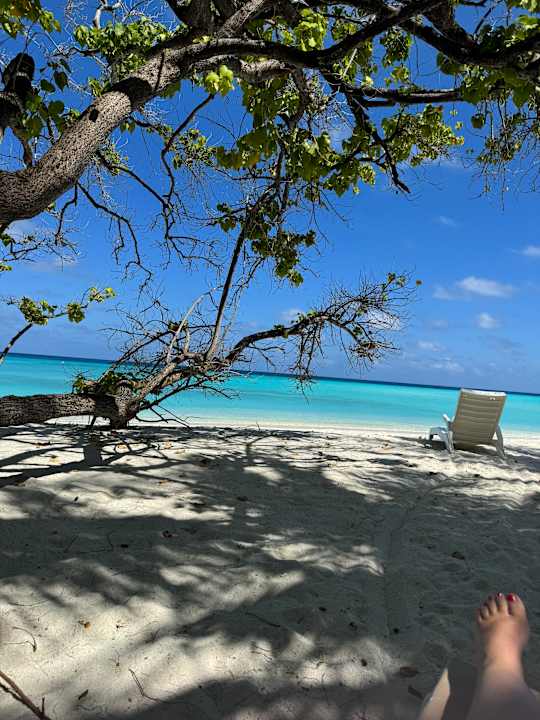 Strand Summer Island Maldives