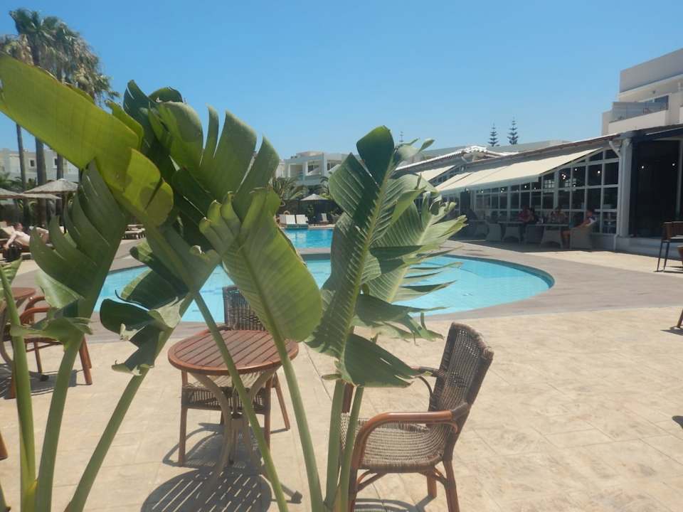 Außenansicht Delfina Tropic Beach