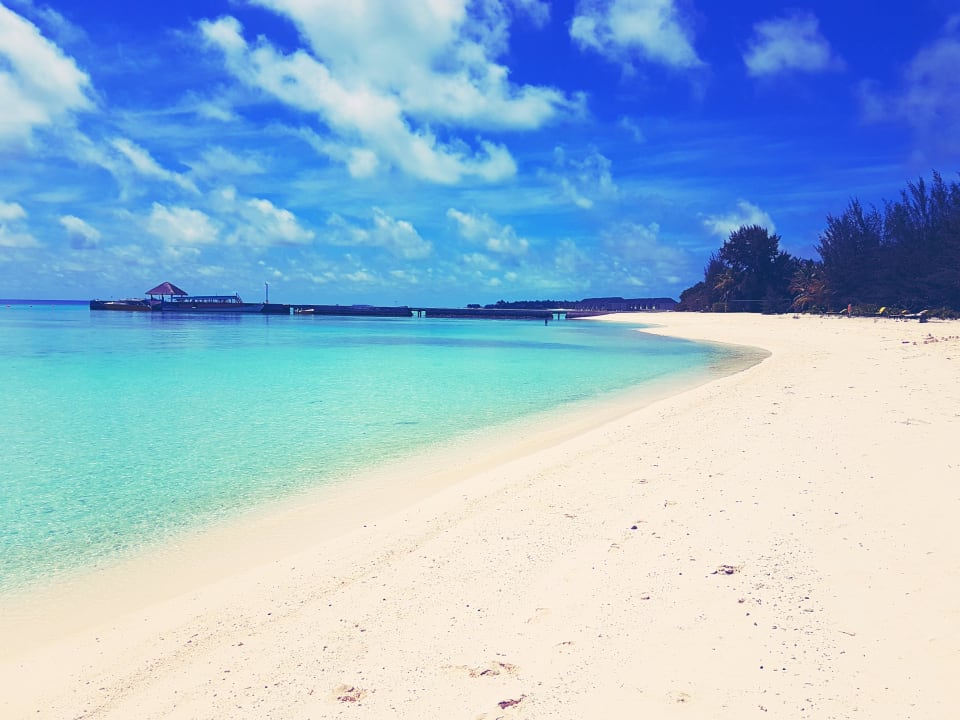 Strand Summer Island Maldives
