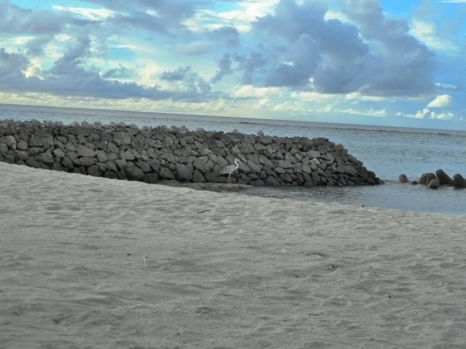 Strand 1 , setzen Summer Island Maldives