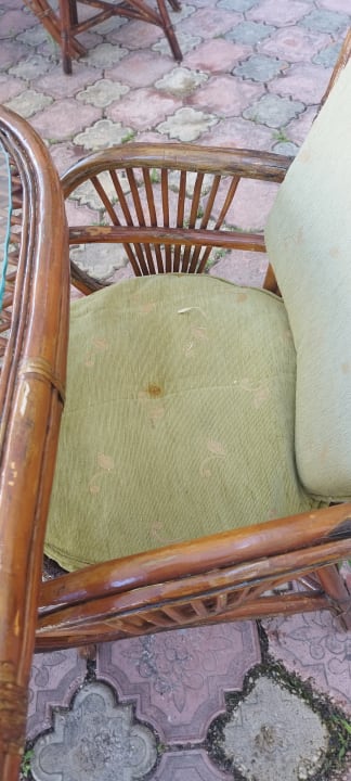 Gartenanlage Cinar Family Suite Hotel