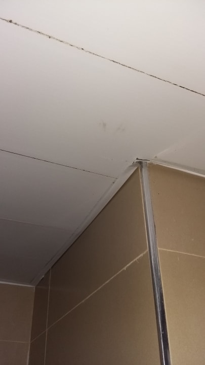 Zimmer Punta Cana Princess All Suites Resort & Spa