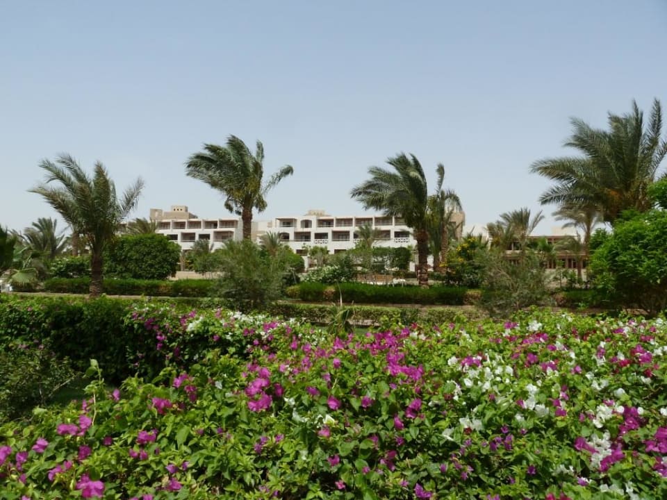 Anblick Fort Arabesque Resort, Spa & Villas