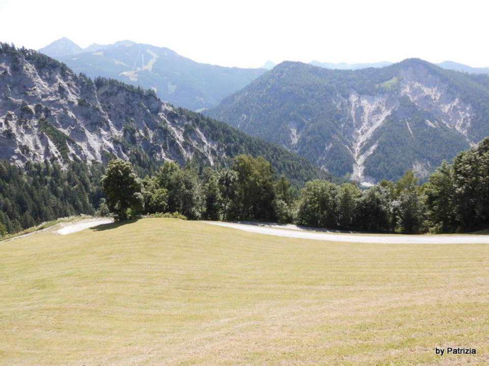 Ausblick Bergbauernhof Pension Irxner