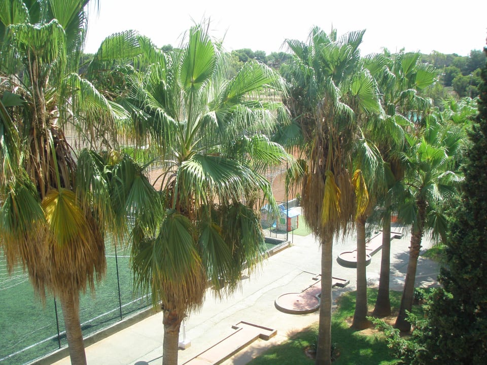 Blick auf den Sportclub Hotel Don Miguel