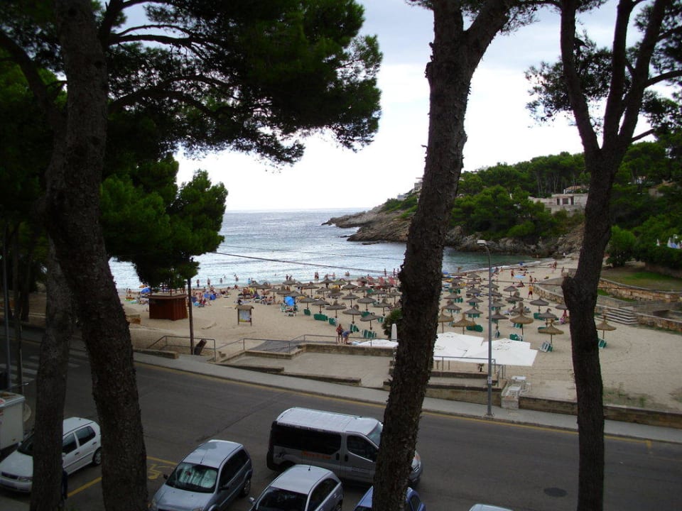 Ausblick Zimmer 65 Hotel Beach Club Font de Sa Cala