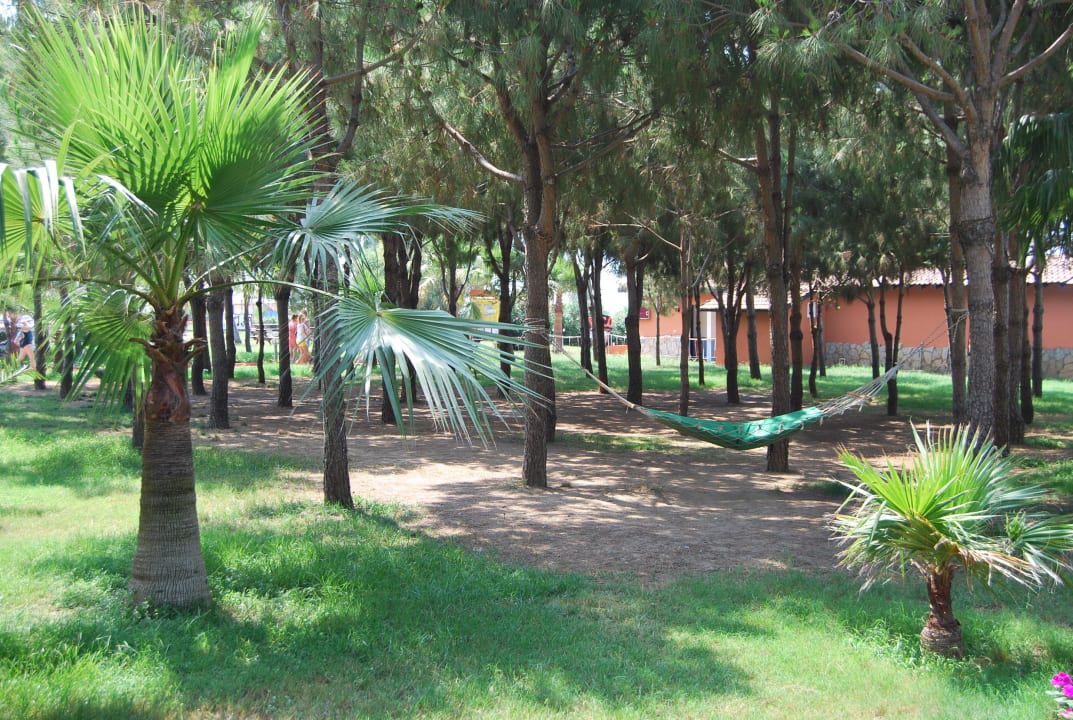 Auch Schatten kann man finden. Club Turtas Beach Hotel