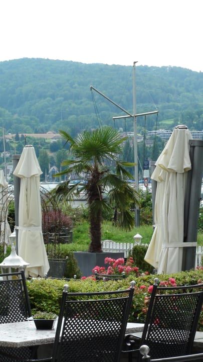 Ausblick vom Kurslokal auf den See. Hotel Höri am Bodensee