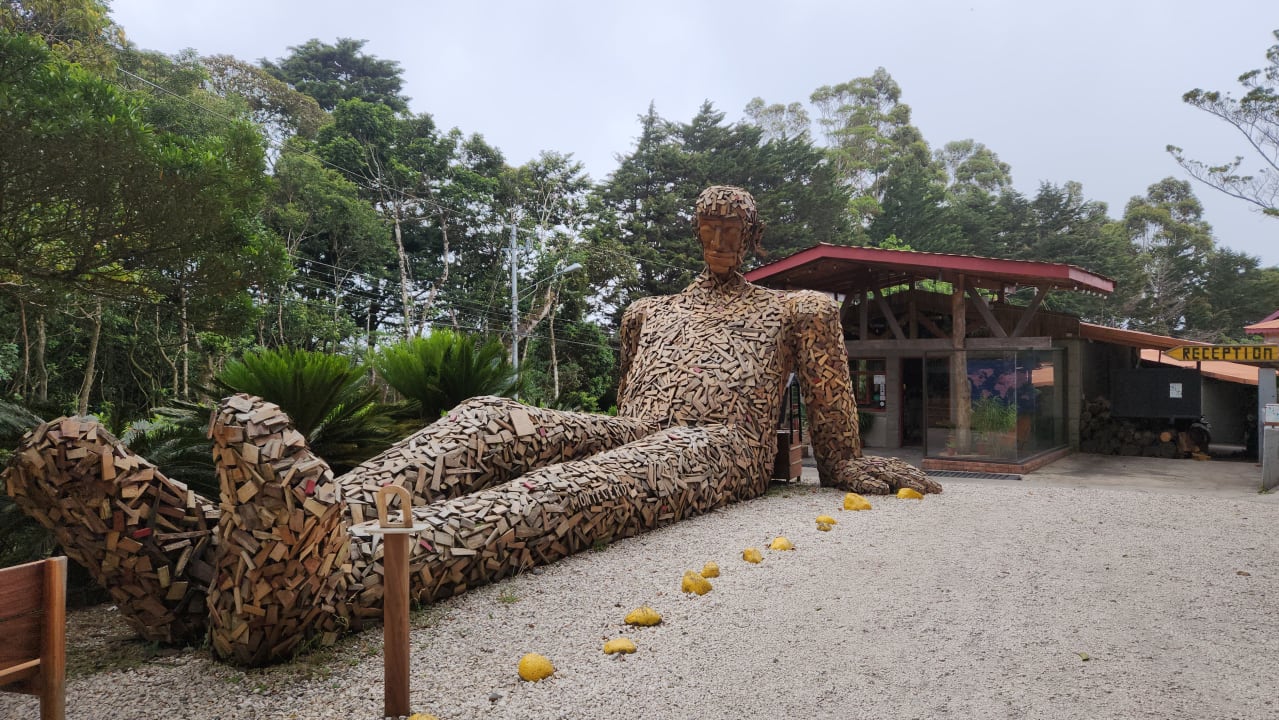 Sonstiges Selina Monteverde