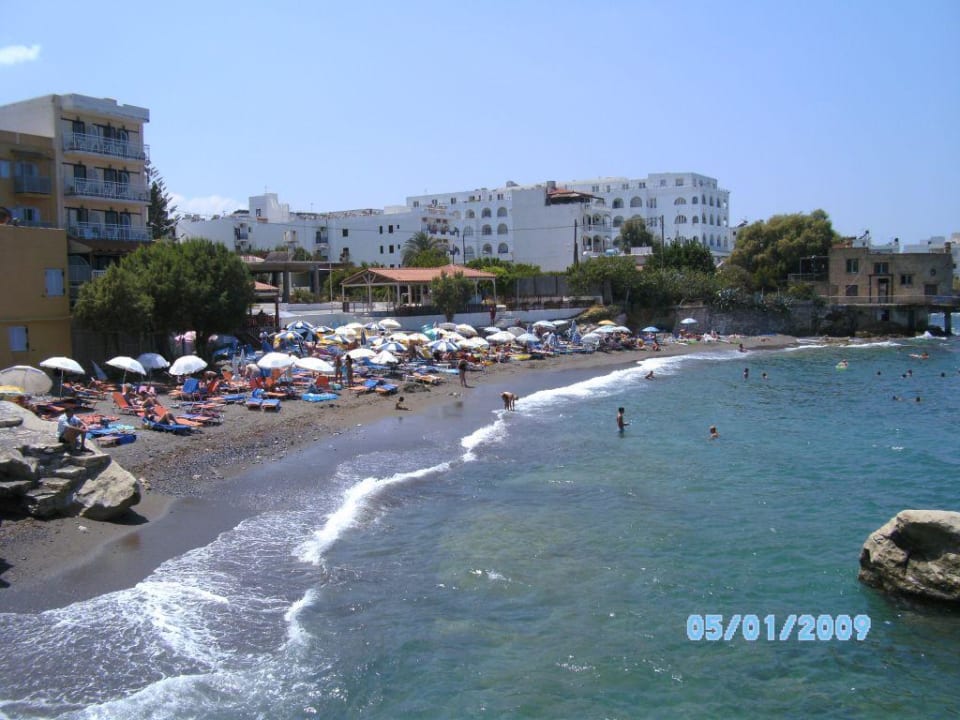 Strand von 3 Hotels! Hotel Evelyn Beach