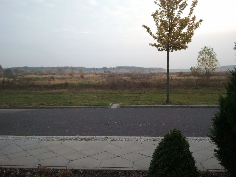 Blick aus dem Zimmer Haus Potsdam Berlin