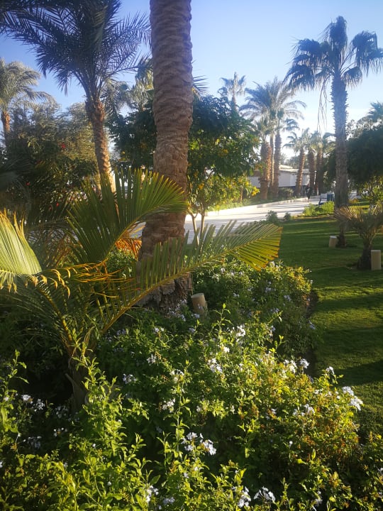Gartenanlage The Grand Hotel Hurghada