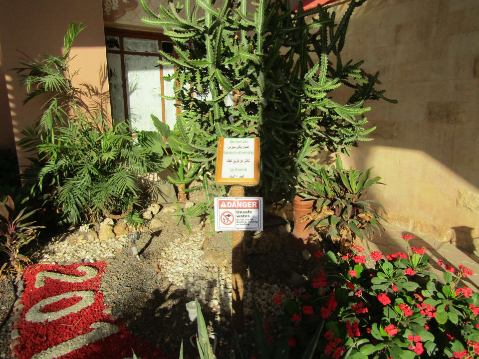 Gartenanlage Pickalbatros Palace Resort