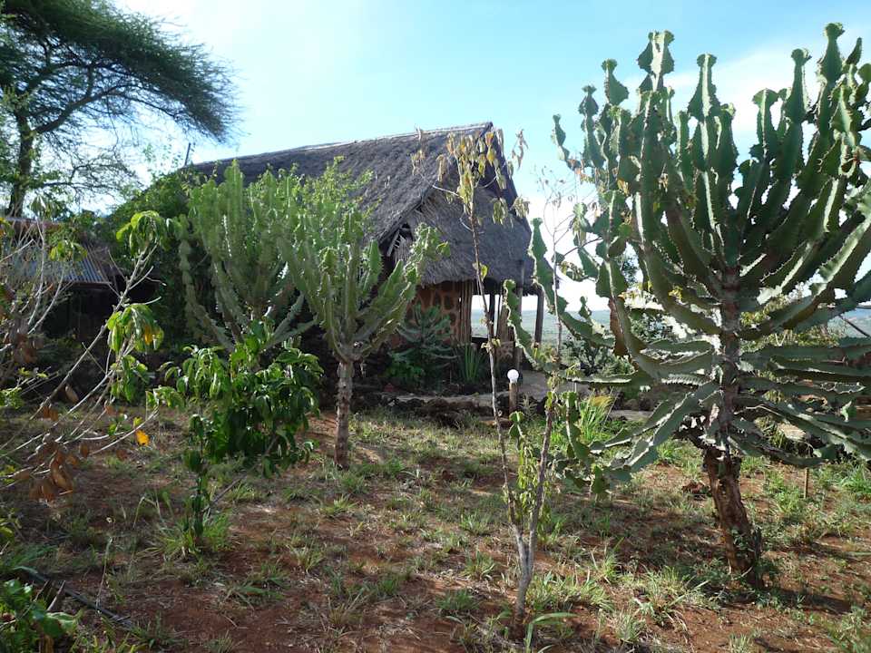 Eins von den kl. Häuschen Rhino Valley Lodge