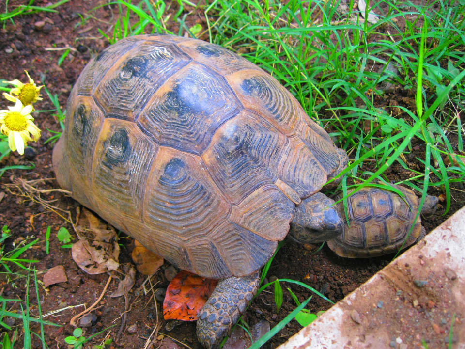 Oylum Park Munamar Park Hotel by Oylum