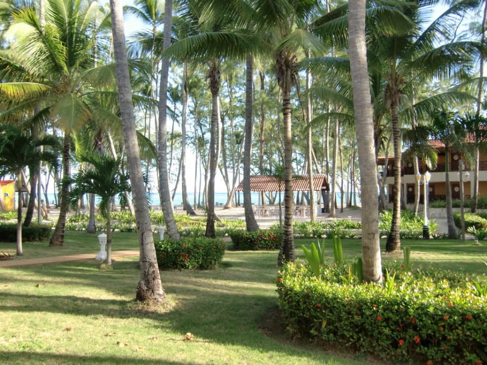 Blick vom Zimmer Vista Sol Punta Cana