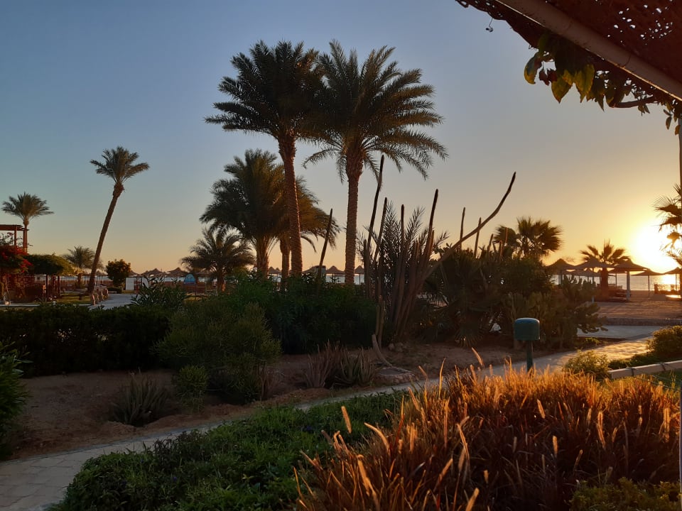 Ausblick Shams Safaga Resort