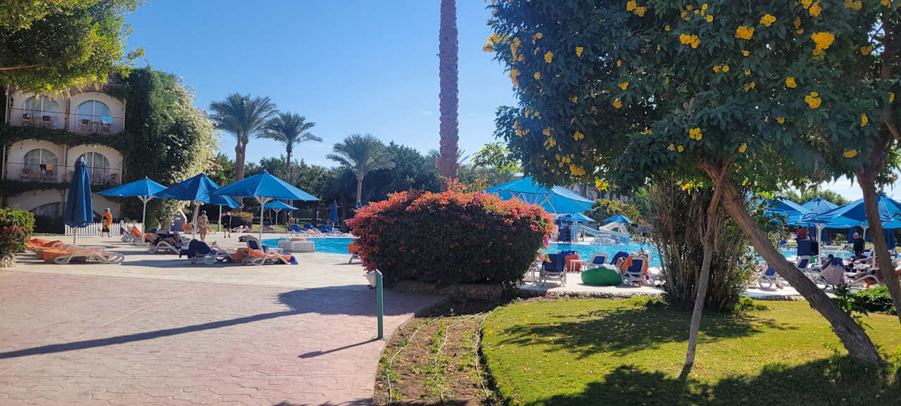 Ausblick Desert Rose