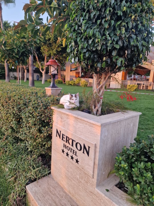 Gartenanlage Nerton Hotel - Erwachsenenhotel ab 16 Jahren