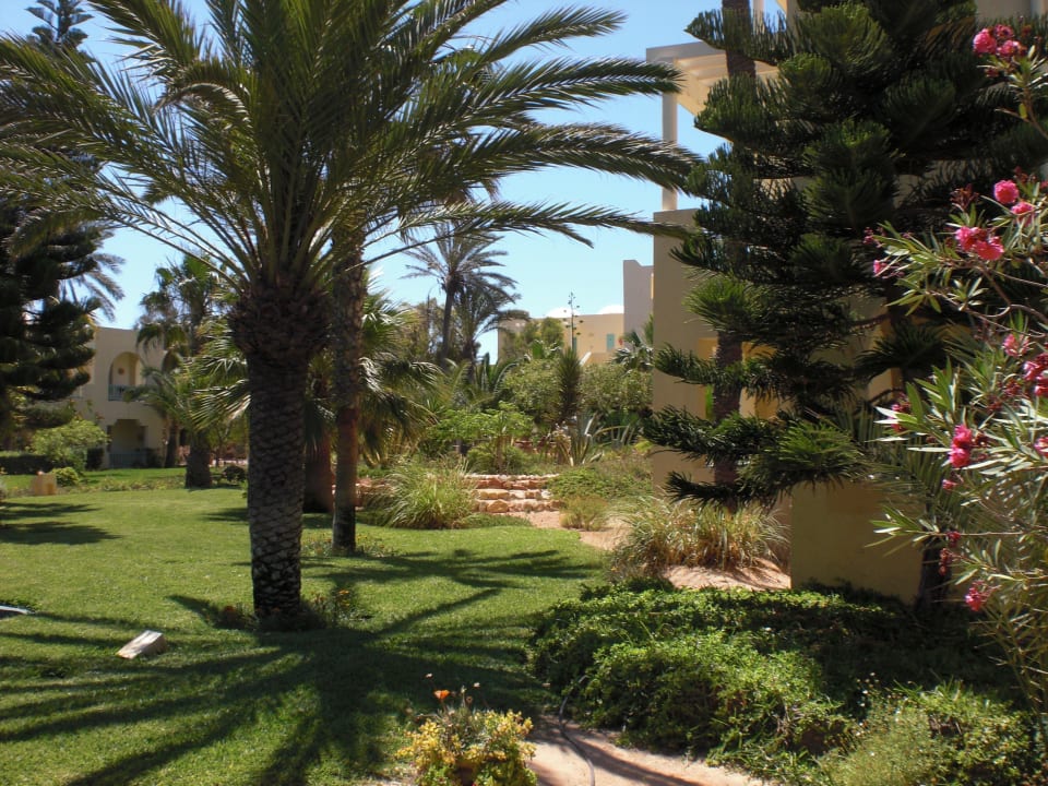 2014 Aldiana Club Djerba Atlantide