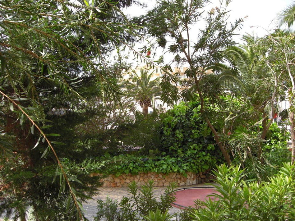 Blick von Zimmer Nr.22(EG)auf Minigolfanlage allsun Hotel Bahia del Este