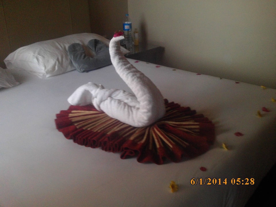 Jeden Tag was anderes Jaz Makadi Oasis Resort