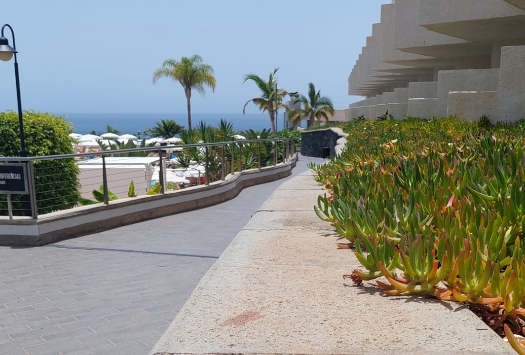Gartenanlage Landmar Playa La Arena
