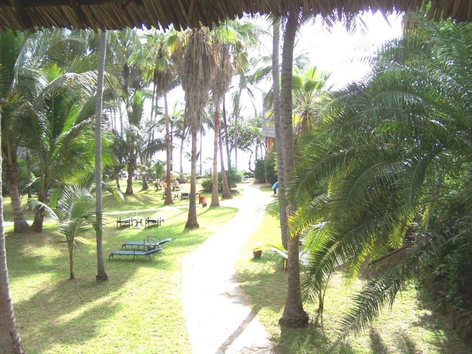 Blick aus dem Zimmer zum Strand Bahari Beach Hotel