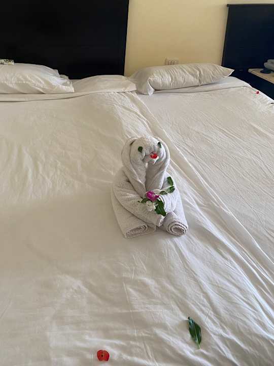 Zimmer Casa Mare Resort