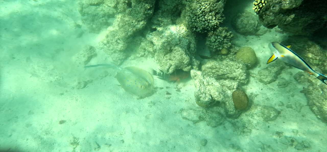 Strand Wadi Lahmy Azur Resort