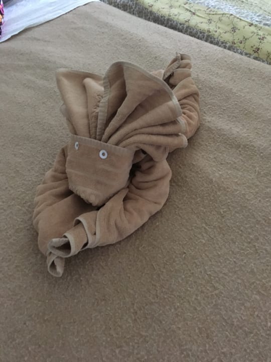 Die Hausdame hat sich immer etwas einfallen lassen  SBH Club Paraiso Playa