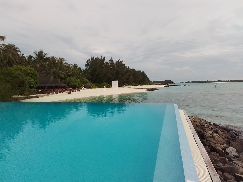 Pool Summer Island Maldives