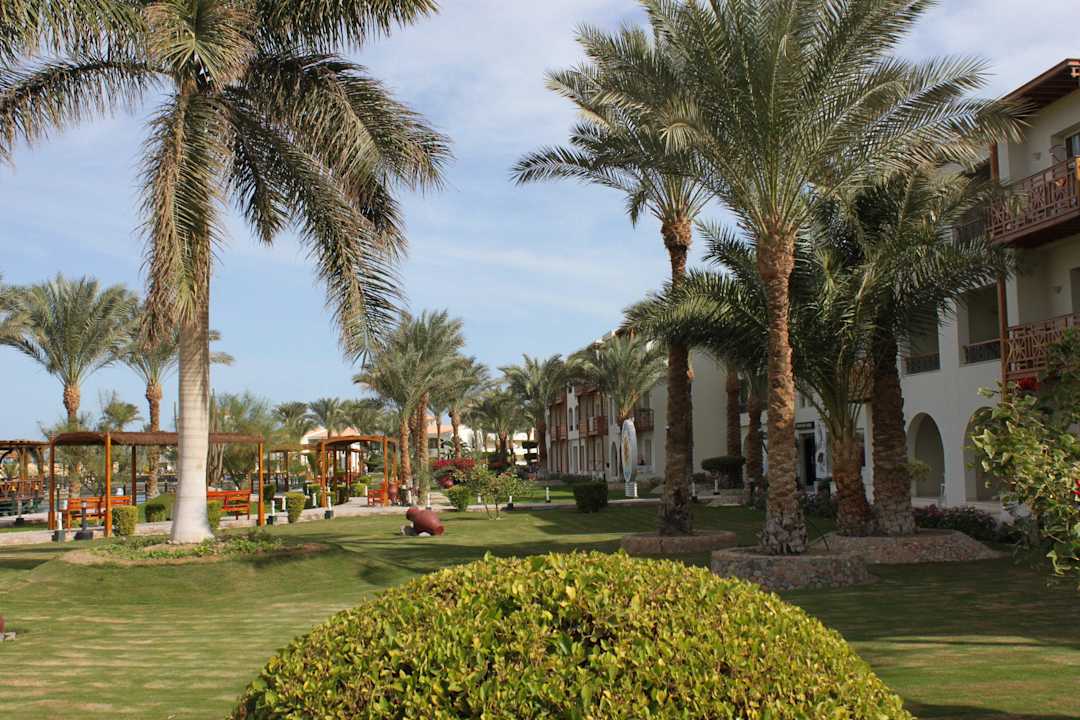 Traumurlaub 12.2012 Pickalbatros Dana Beach Resort - Hurghada