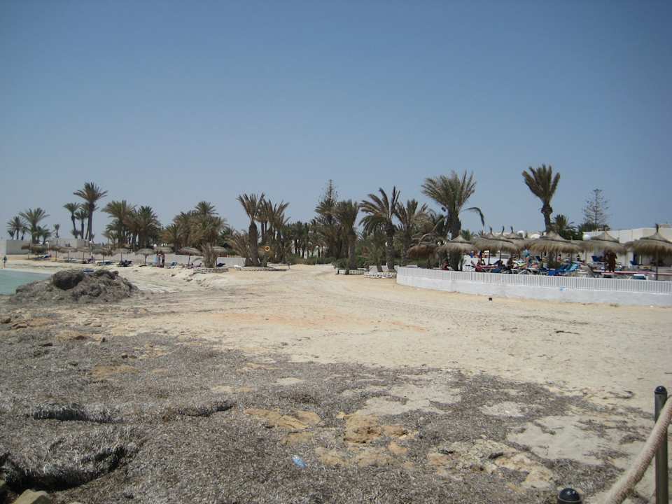 Strand Hotel El Mouradi Djerba Menzel
