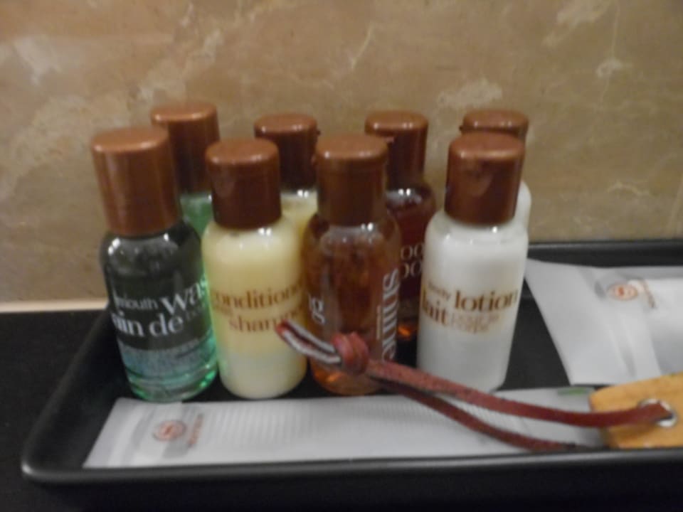 Deluxe Suite 426 - Badezimmerzubehör Sheraton Warsaw Hotel