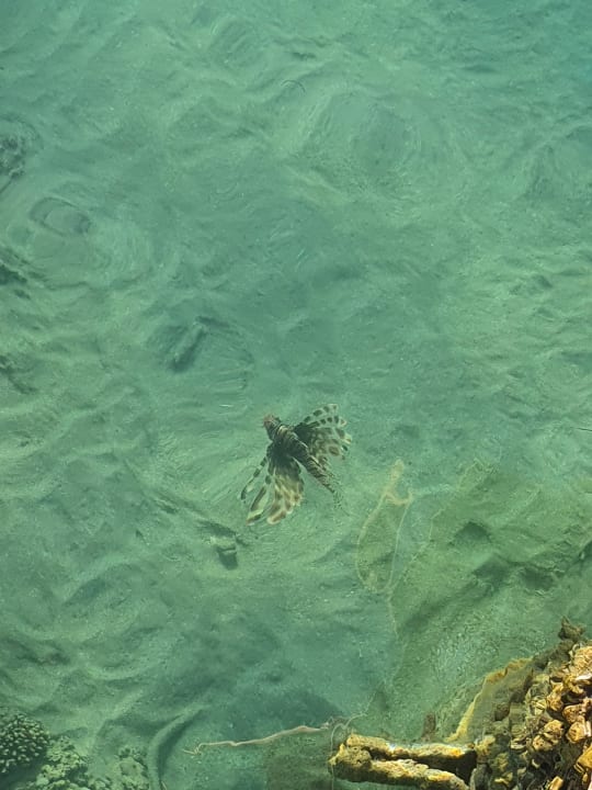 Ausblick Cleopatra Luxury Resort Makadi Bay