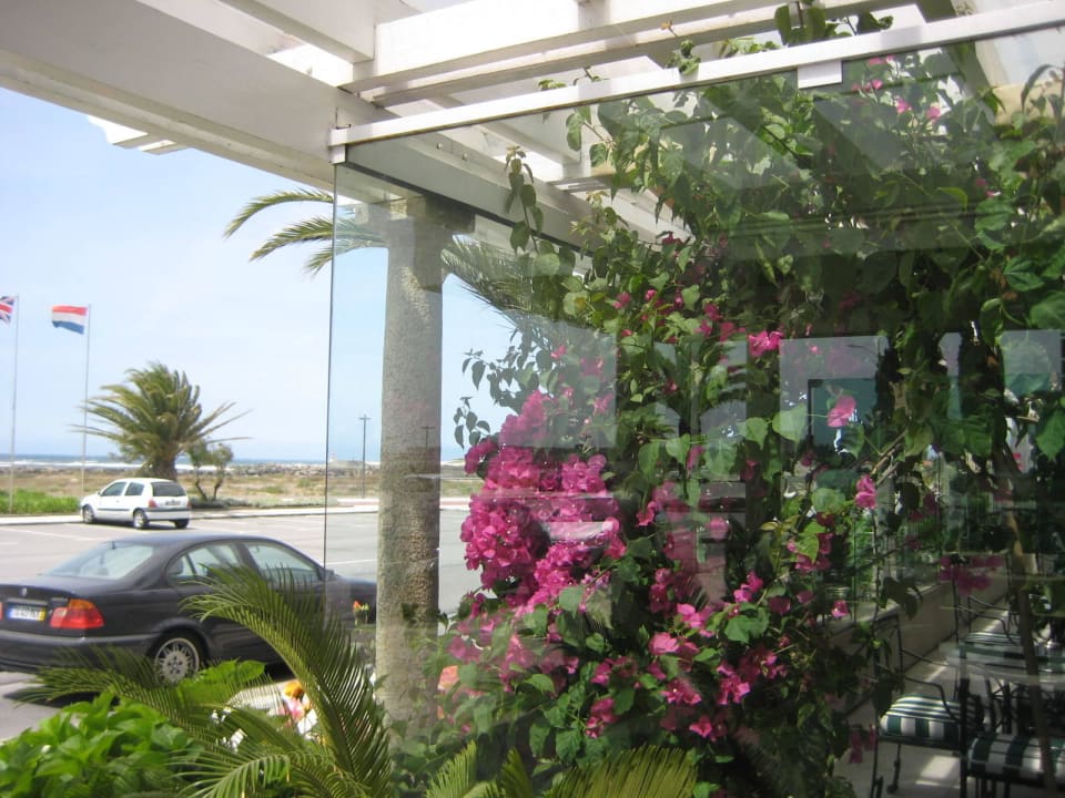 Hoteleingang Hotel Suave Mar