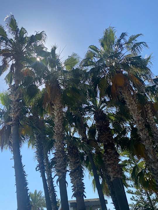 Gartenanlage Labranda Alantur Resort