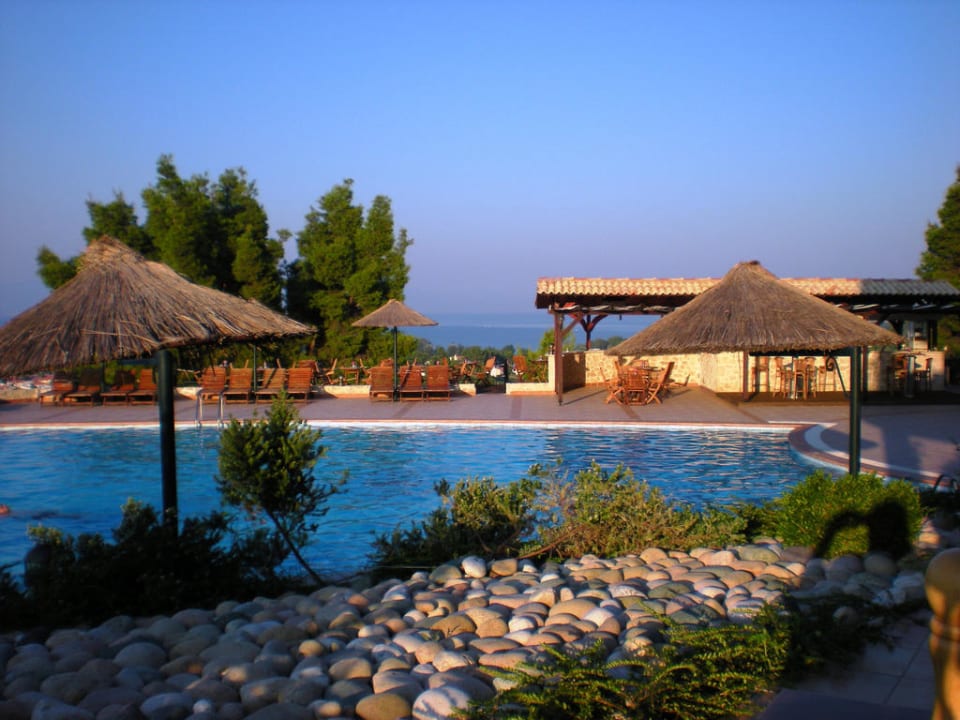 Hotelpool  Alia Palace