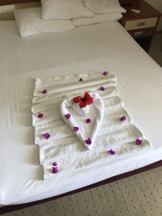 Zimmer Anitas Beach Hotel