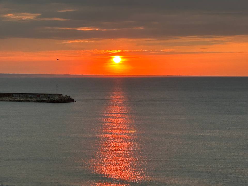 Strand Sentido Marea