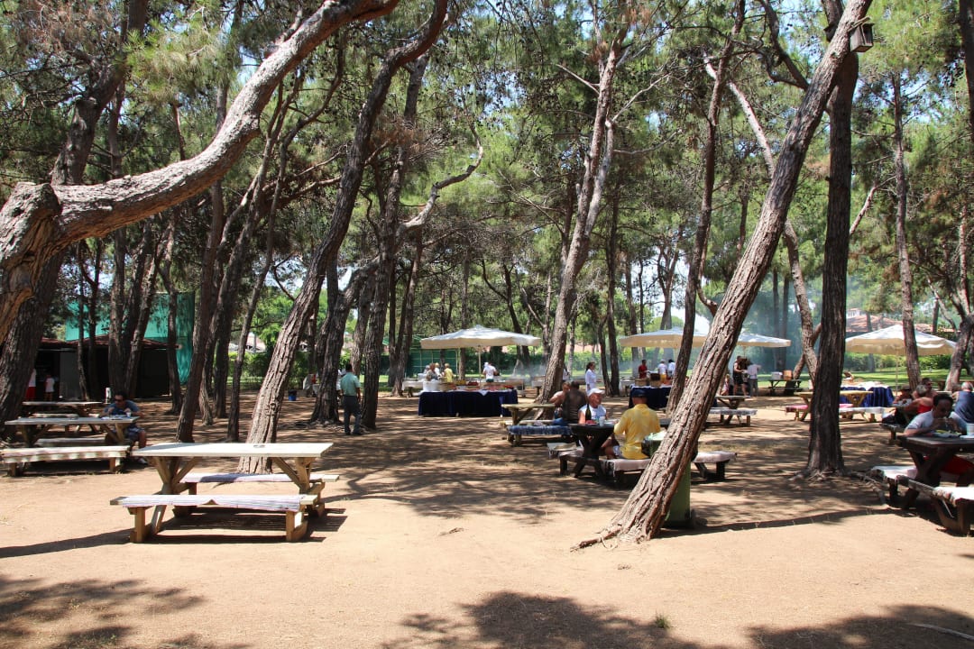 Dienstagsbarbecue im Pinienwald Xanadu Resort Hotel