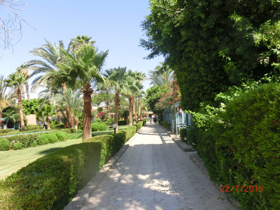 Weg zum Restaurant Giftun Azur Resort