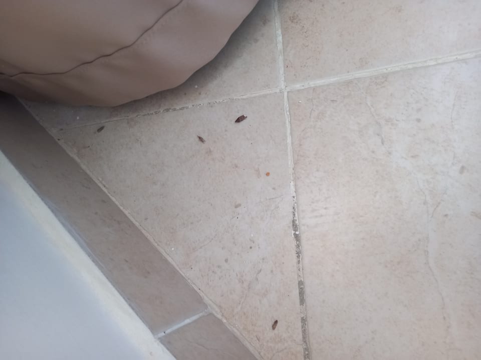 Zimmer Sentido Caribbean World Soma Bay