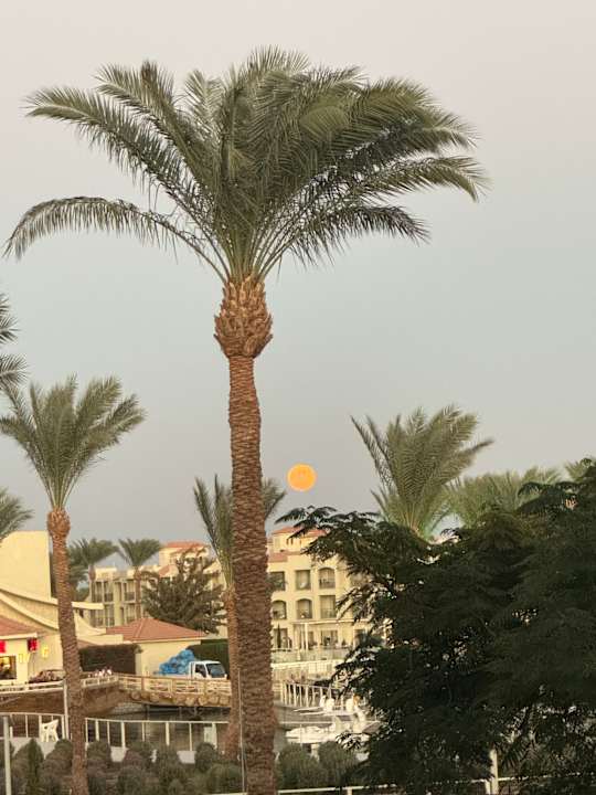 Außenansicht Pickalbatros Dana Beach Resort - Hurghada