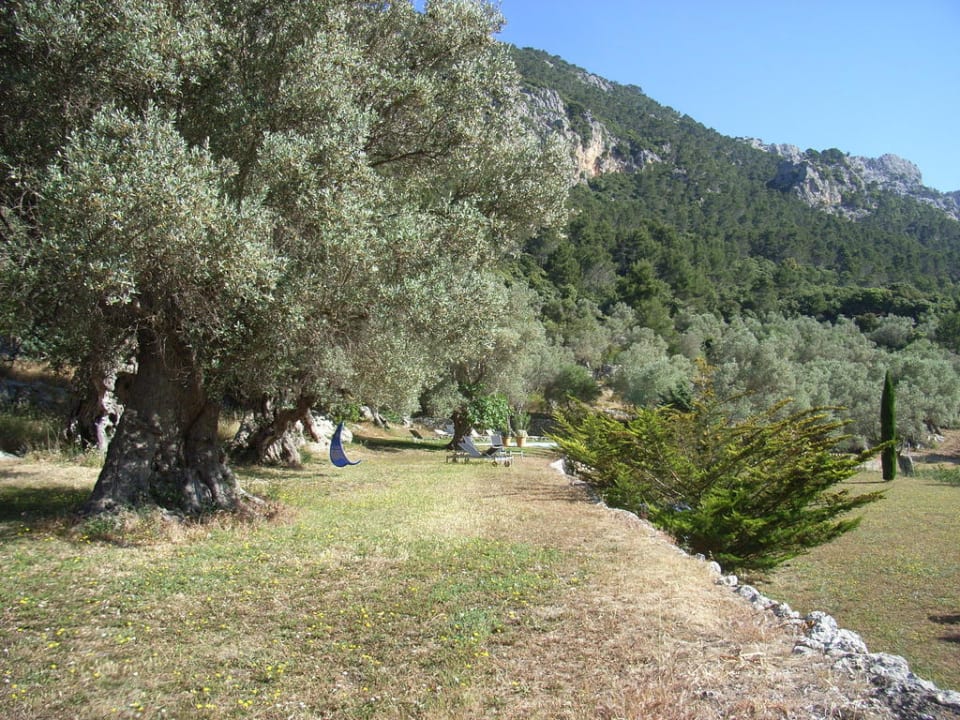 Finca-Anlage Finca Honor Vell